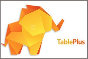 TablePlus 4.10.5 Crack With License Key 2022 Download [Latest]